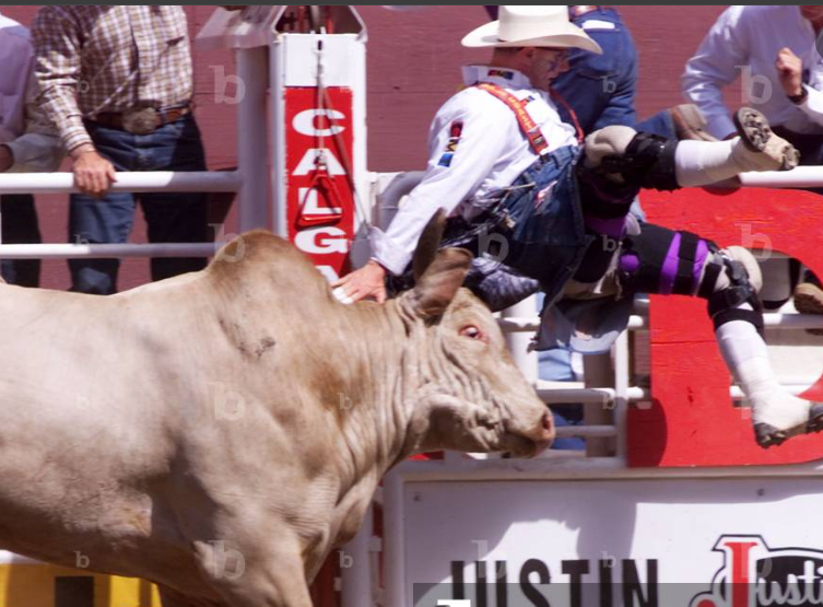 TJ Baird Death Castor, Alberta Alberta Rodeo Legend And Cowboy Has Died